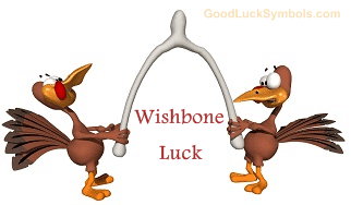 Wishbone Luck