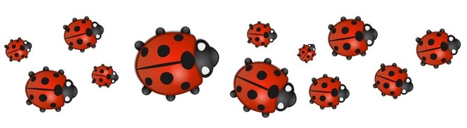 ladybug symbolism superstitions